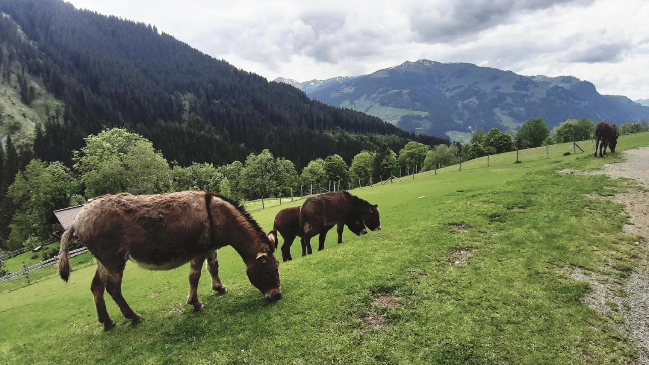 Privatzimmervermietung Foidlbauer Oberndorf in Tirol Exterior photo